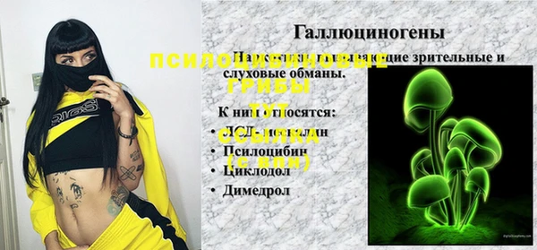 ECSTASY Гусиноозёрск