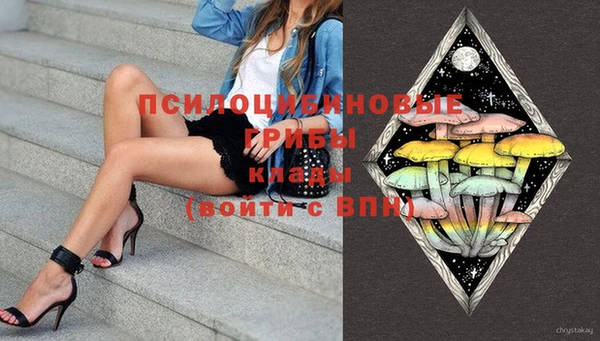 apvp Гусь-Хрустальный