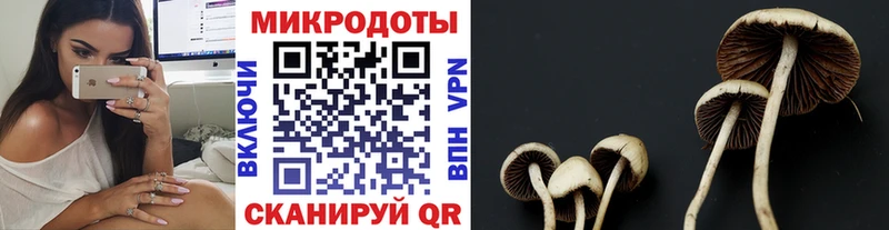 Псилоцибиновые грибы MAGIC MUSHROOMS Яхрома